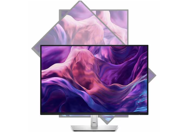 Monitor LED Dell P2425H 24" Class Full HD - 16:9 - 60.5cm (23.8") Viewable - Tecnología conmutación en el mismo plano