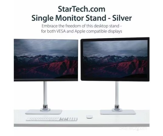 Brazo de Soporte Articulado de Monitor para Escritorio 34"