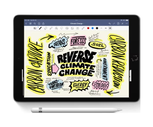 Apple Pencil 1a Generación